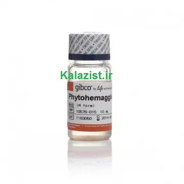 PHA فیتوهماگلوتینین phytohemagglutinin kalazist کالا زیست Gibco گیبکو